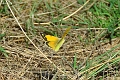 19 08 13_7014_edited-1-copy